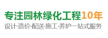 描述